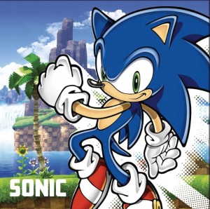 RĘCZNIK ręczniczek do rąk JEŻ SONIC 30x30 cm