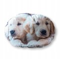 PODUSZKA kształtka PIES Golden retriever