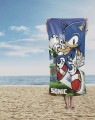 RĘCZNIK bawełniany JEŻ SONIC 70x140 cm