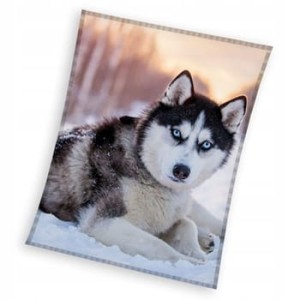 KOC CORAL PIES HUSKY 150x200 cm