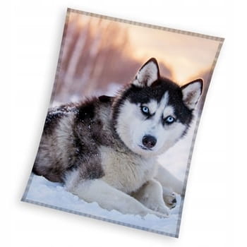 KOC CORAL PIES HUSKY 150x200 cm
