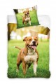 POŚCIEL bawełniana PIES 160x200 AMSTAFF Amerykański Staffordshire terrier