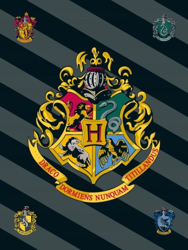 KOC polar HARRY POTTER 100x150 cm
